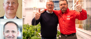 Ulf är ny på kommunens näringslivskontor • Nu odlas gurkor på Ica Maxi Skellefteå – tomater kan följa • Ny styrelseordförande i Northvolt