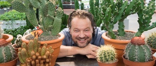 Ont om tid? Köp en kaktus!