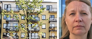 Stigande siffror för bostadsförmedling