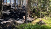 Brinner fortfarande i skogen – brandmännen kvar hela natten