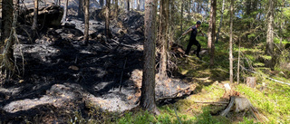 Brinner fortfarande i skogen – brandmännen kvar hela natten