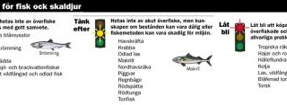 Välj sej istället för hotad torsk