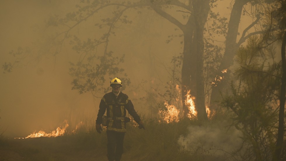 Stora skogsbränder drabbade södra Europa under den heta och torra sommaren 2022. Bilden är tagen i Gironde i Frankrike den 18 juli. Landet hade, liksom Italien och Spanien, många dödsfall på grund av hettan enligt en ny studie.