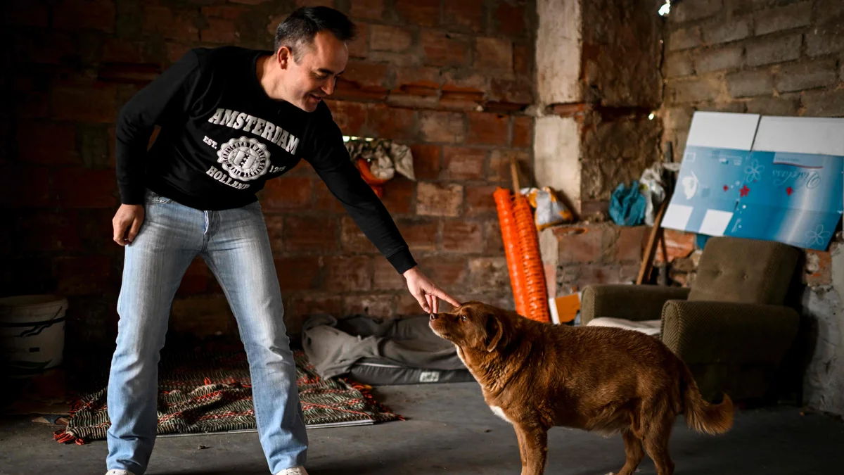 Han r V rldens ldsta Hund Nu Firas Han
