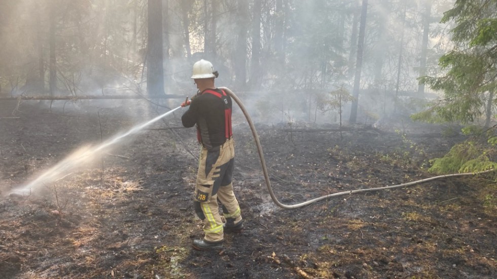Skogsbrandssäsongen är här. Under torsdagen bröt en skogsbrand ut utanför Rumskulla. Räddningschef Peter Helge berömmer personalens insats. "Jag är jättenöjd med insatsen. Det är guldstjärna på brandpersonalen, det arbetet de gör är a och o." 