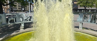 Mysteriet: Häller någon karamellfärg i Uppsalas fontäner?