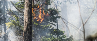 Skogsbrand i Härjedalen under kontroll