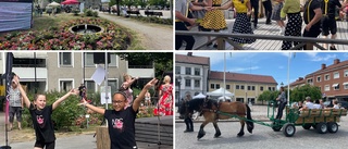 Söderköpings gator och torg fylldes av kultur: "Stort engagemang"