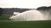 Grundvattnet väntas sjunka mer trots regnen