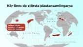 Havsfåglar hotas av jättelika öar av plast