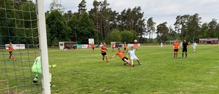 Visby Bois avgjorde tidigt – tar in på IFK Visby 