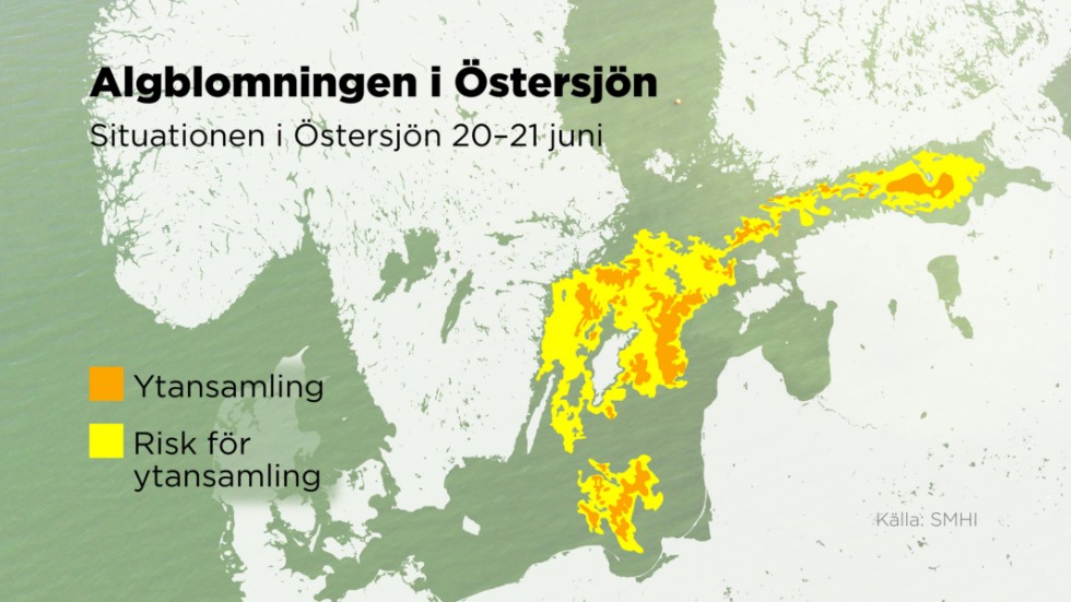 De första ansamlingarna brukar visa sig i sydost och sedan sprida sig norrut.