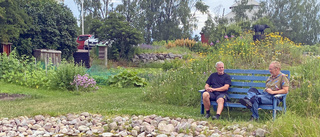 Succé för trädgård i Tinnerö – har inte klippt gräset sedan 2016