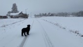 SMHI varnar för stort snöfall i Västervik