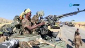 Oenighet i säkerhetsrådet om krigets Etiopien