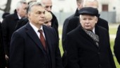 Ungern och Polen fick frågan på ett silverfat