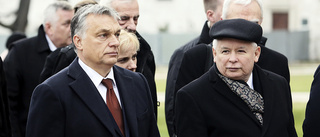 Ungern och Polen fick frågan på ett silverfat