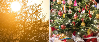 SMHI:s prognos: Så blir julvädret på Gotland