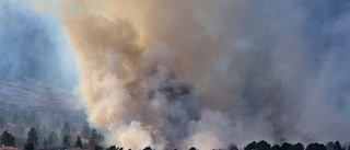 Minskat koldioxidutsläpp från skogsbränder
