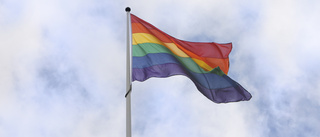 Gotland Pride hissar en varningens flagg          