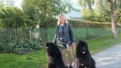 Hundarna är Renées liv: "Jag älskar dem"
