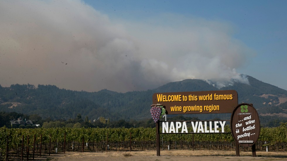 Rök breder ut sig i Napa Valley. Arkivbild