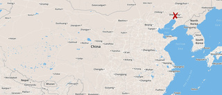 Minst sju döda i knivattack i nordöstra Kina