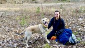 Ideella krafter sökte med hundar vid Glysas grav: "En god gärning"
