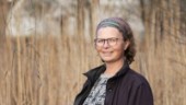 MP miste sin strateg när Birgitta gick bort i cancer – "Hon visste nog att hon inte skulle bli så gammal"