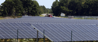 Solcellspark klar – ingen lösning på bländande paneler