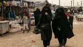 Svenska IS-kvinnor på väg till Sverige