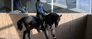 Hästtävlingar stoppas – men inte ponnydressyr-SM