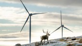 Vindkraft hör inte hemma i norra Sverige