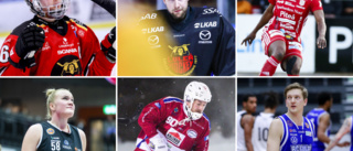 Så mycket pengar tjänar Norrbottens idrottsstjärnor