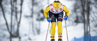 Dubbla svenska segrar i långloppscupen