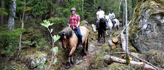 Bergsklättring till häst en skön resa