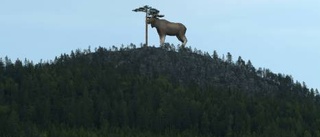 Jätteälgens första pusselbit på plats