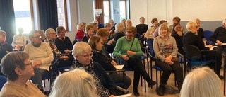 Visions seniorsektion i Luleå höll årsmöte