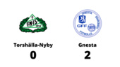 Torshälla-Nyby föll med 0-2 mot Gnesta