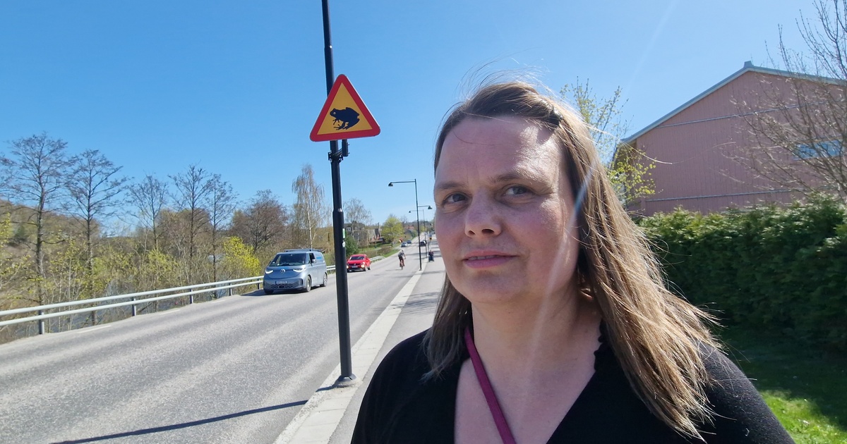 Varning för paddor: ”Det har varit ett slagfält här”