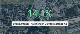 Inget företag slog Bygg & interiör – bäst omsättning