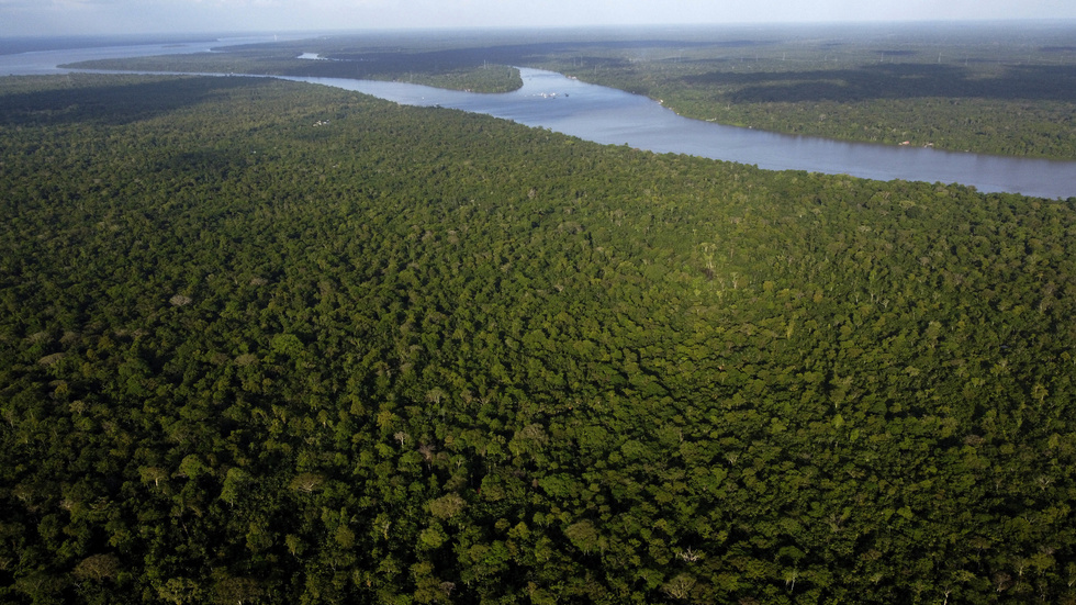 Sverige borde bidra till bevarandet av Amazonas, anser skribenten.