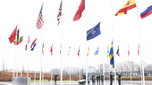 Nu kommer Sverige prövas som Natoland