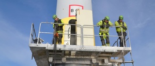 Stort arbete vid unik vindkraftpark på Gotland