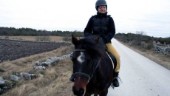 Upptäck Gotland från en hästrygg