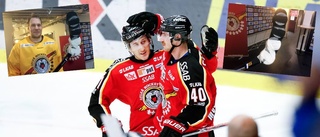 Förklaringen bakom Luleå Hockey-duons succé