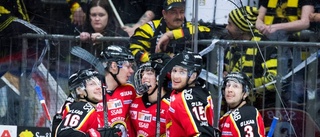 AVSLÖJAR: Doldisen högaktuell för Luleå Hockey