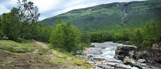 En vandrande folkfest i fjällvärlden