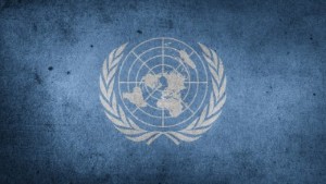 Vad i hela världen gör FN? Inte ett dyft