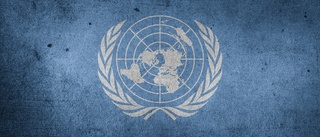 Vad i hela världen gör FN? Inte ett dyft